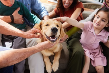 Nationwide Pet Insurance