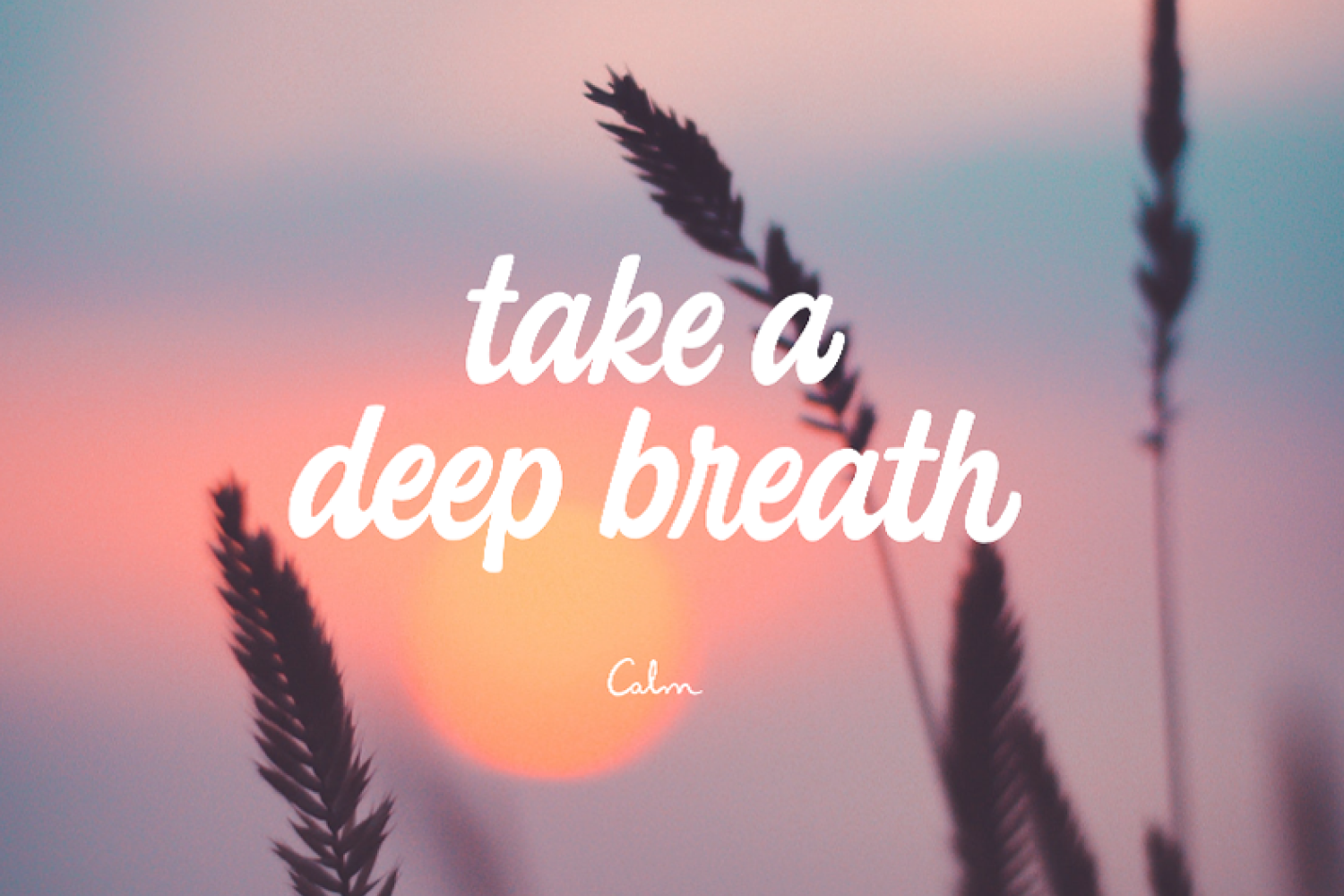 Premium Calm Service