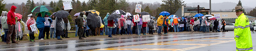 picket in the pines