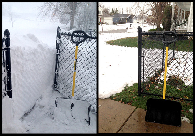 buffalo before and after