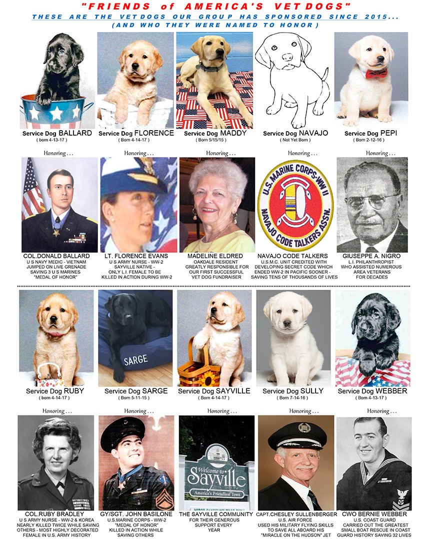 veteran dogs