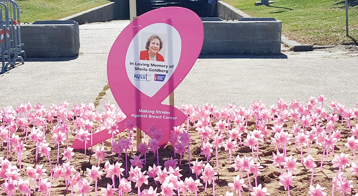 Making Strides Photo Pinwheels, not cartwheels: Making Strides goes on
