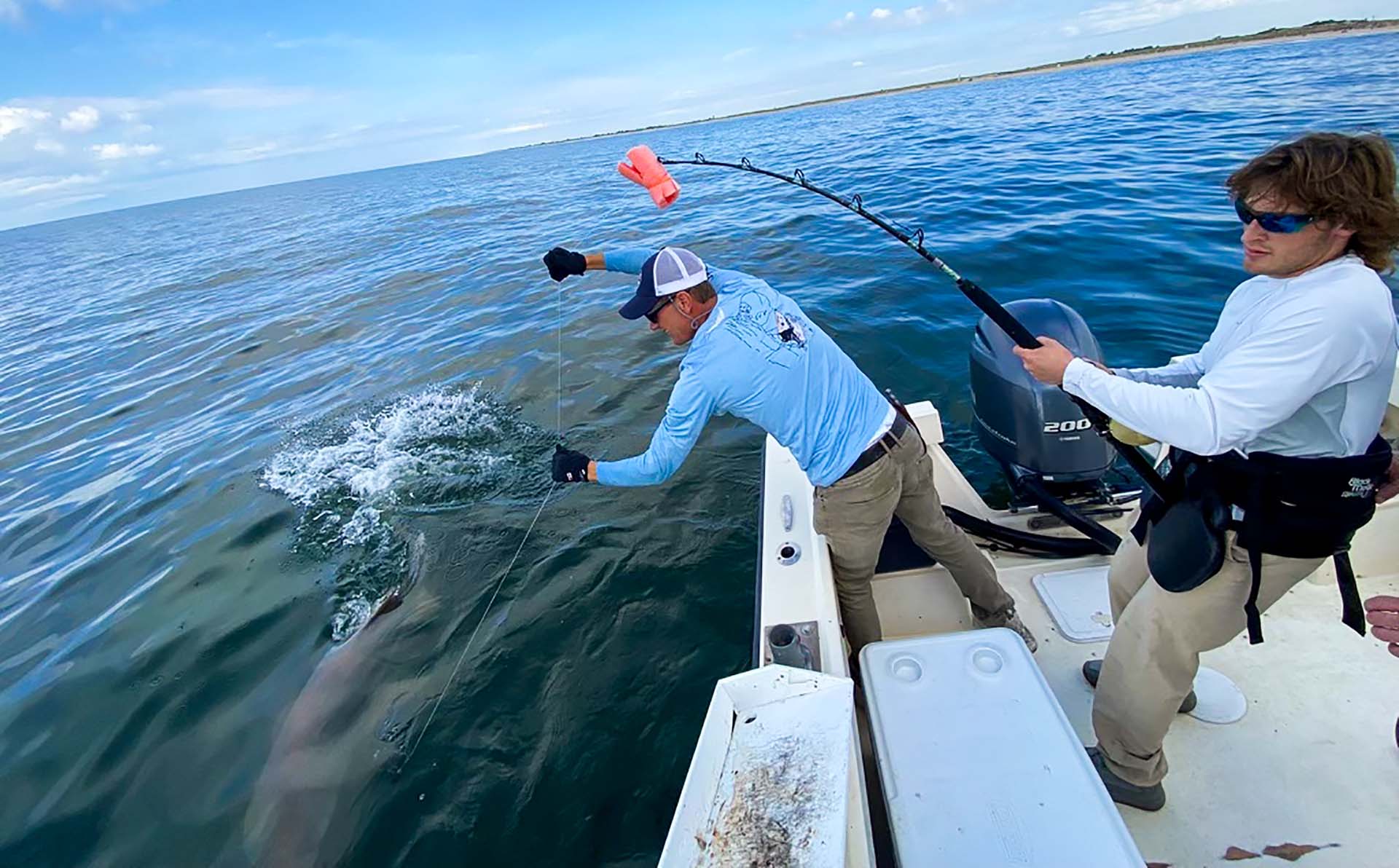 Southampton high school teacher Greg Metzger works with John Karr tiring out a sand tiger shark as part of a research trip off Long Island. Metzger, who teaches marine science, has been riding out into the Atlantic each year since 2015 to help gather information on sharks, work in the spotlight this year as shark attacks and sightings on Long Island grab headlines. Photo provided.