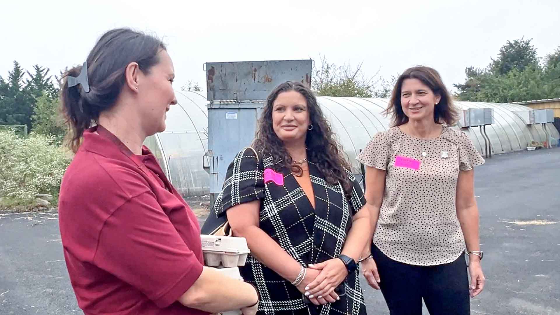 experiential learning in queens