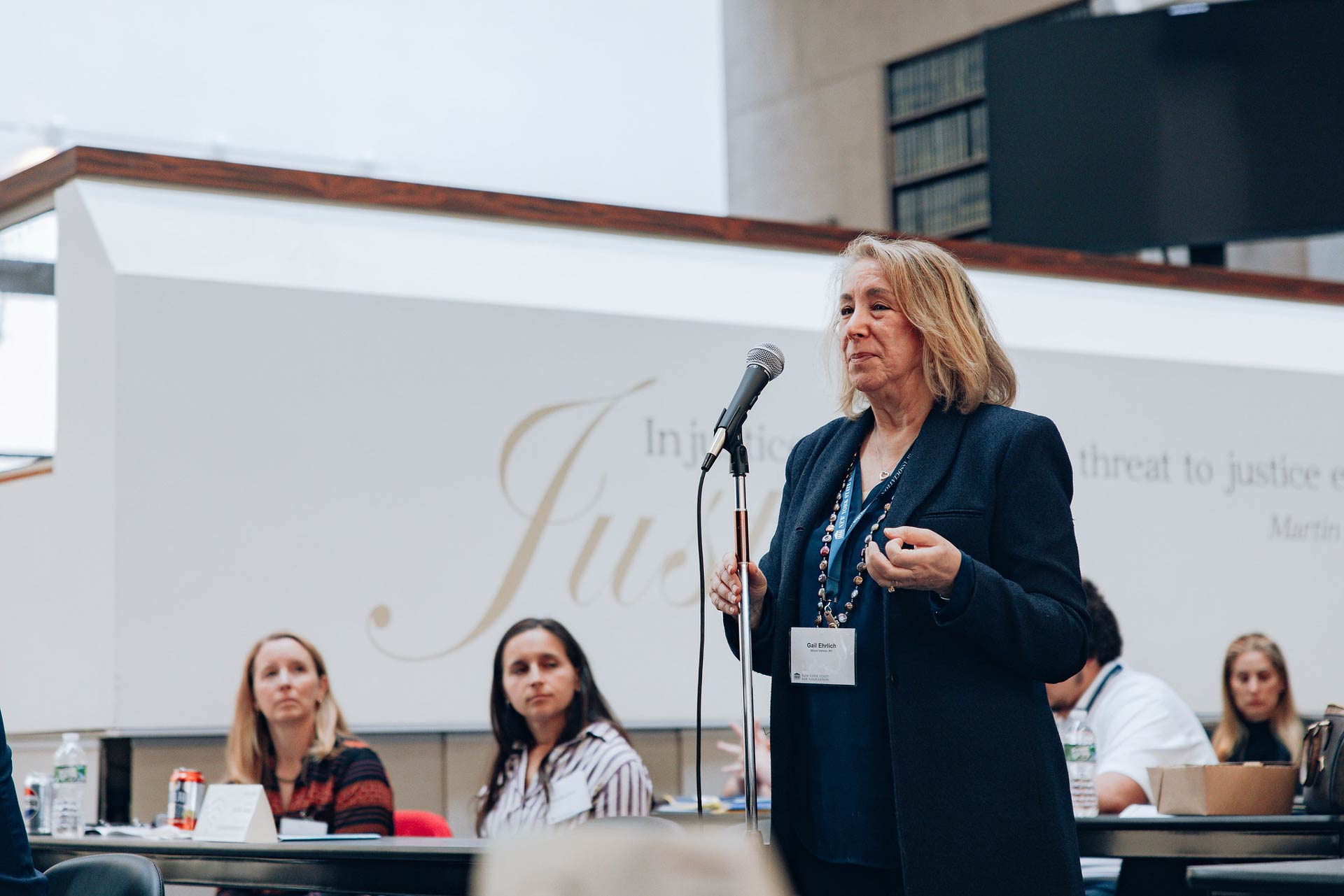 Gail Erhlich, member of UFT and DemocracyReady NY addresses media literacy panel at New York State Bar Association.