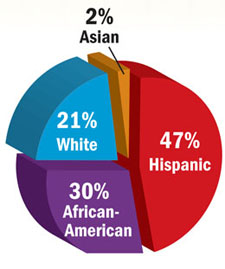 copaigue graph showing diversity og student population