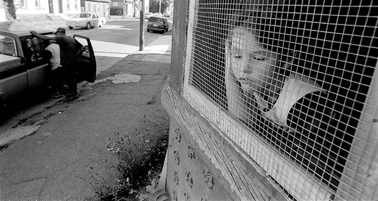 nysut united poverty issue nov 2013