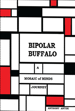 Check it Out - Bipolar Buffalo: A Mosaic of Minds Journey book cover