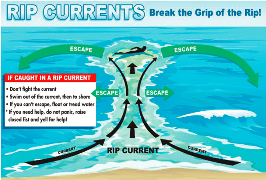 Chart: Awareness is key to staying safe in the ocean or any body of water, lifeguards say. Especially important, if you are caught in a rip current, follow the above steps to get out safely.