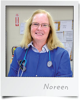 Noreen Beichert