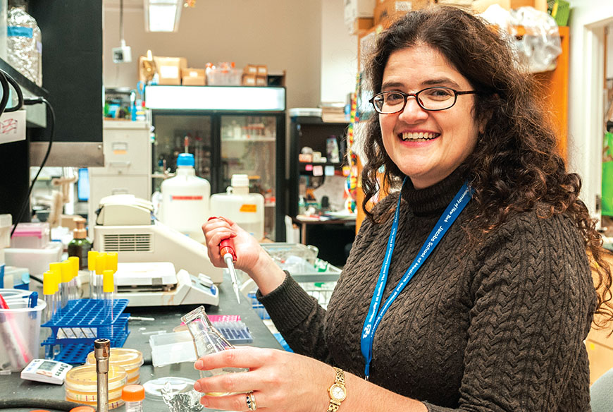 Jennifer Surtees, associate professor of biochemistry at UBuffalo, uses yeast proteins as the basis for her research to improve cancer treatments. Photo by Dennis Stierer.