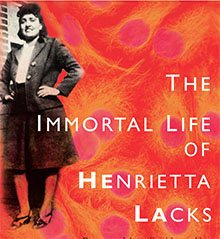 THE IMMORTAL LIFE OF HENRIETTA LACKS bookcover