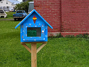 little libraries