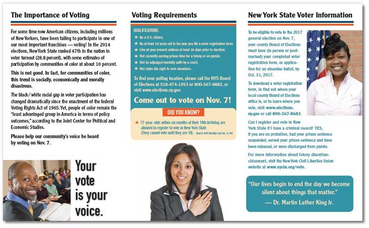 Your Vote is Your Voice brochure