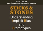 Implicit Bias Workshop: Sticks and Stones